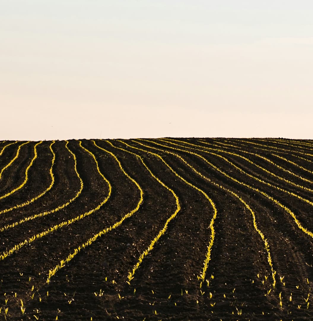 Mapping Food Systems — Design Research